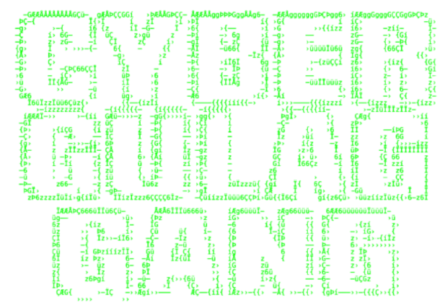 Cyber Gulag Gang